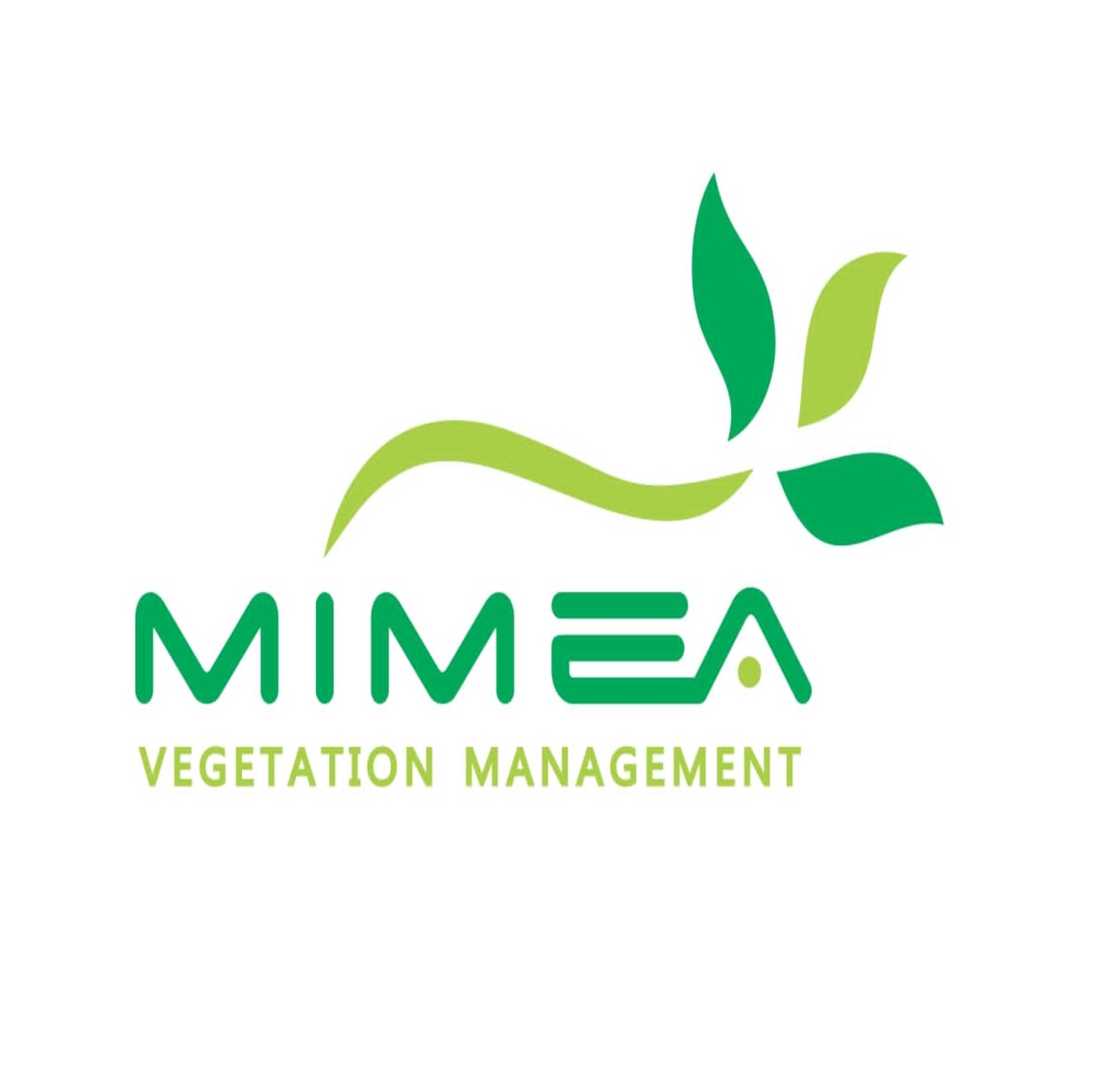Mimea